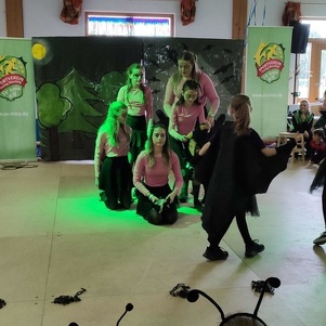 Auftritt Hienheimer Fasching 2023